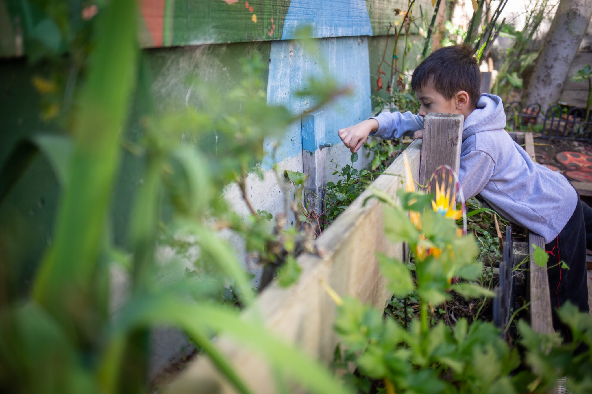 green-makeovers-of-child-care-spaces-connect-san-francisco-s-youngest