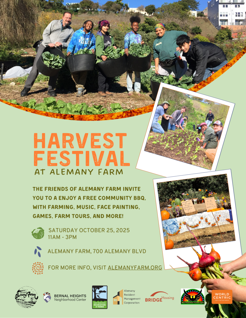 Harvest Festival Harvest Festival