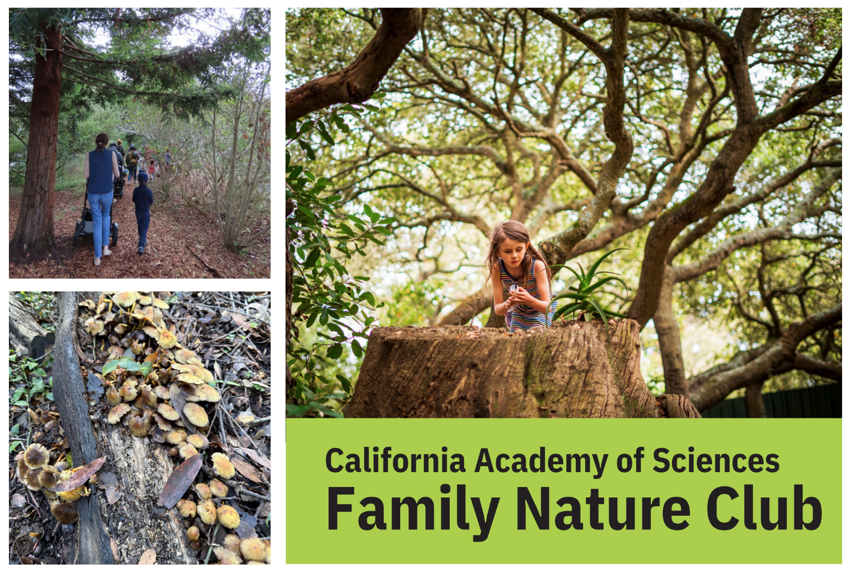 Family Nature Club