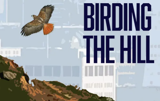 Birding the Hill @ Randall Museum