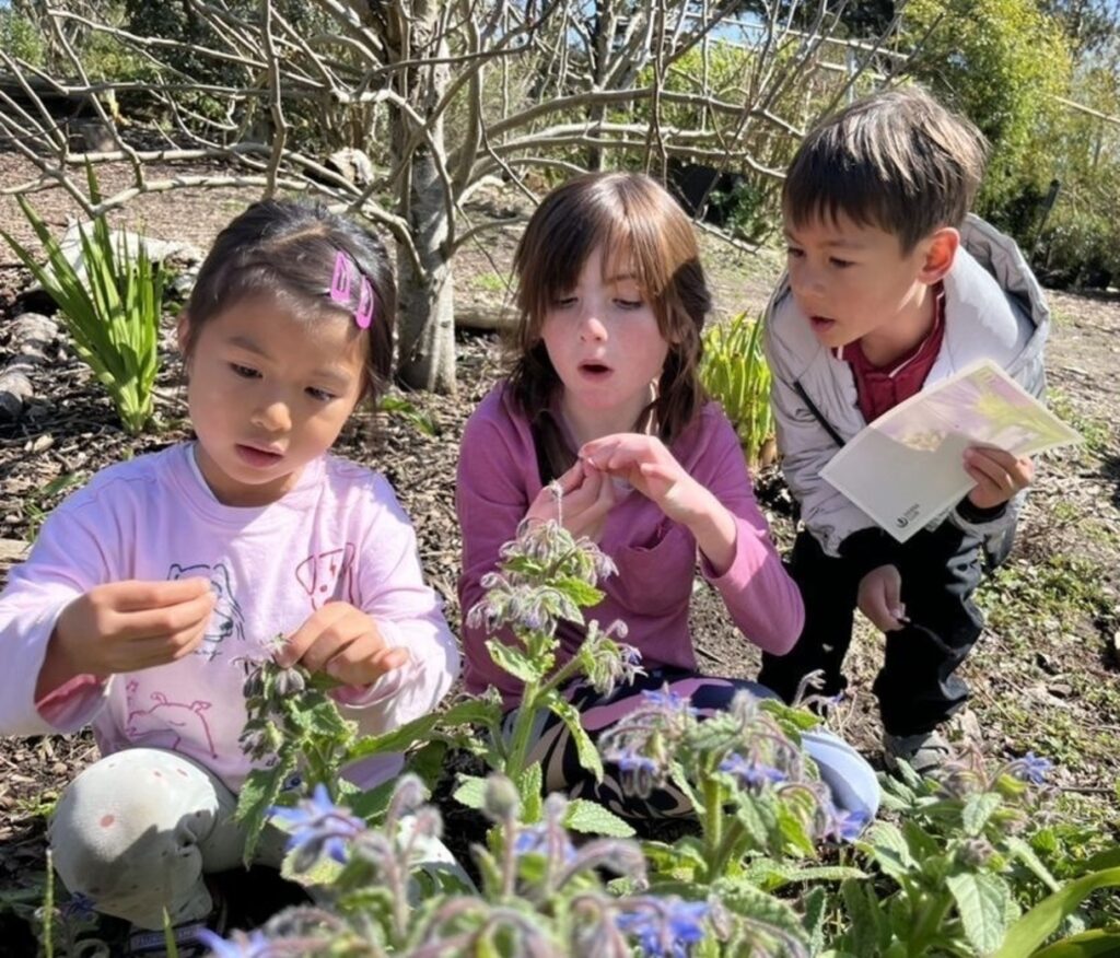 Bean Sprout Family Days the Botanical Garden » SF Children & Nature